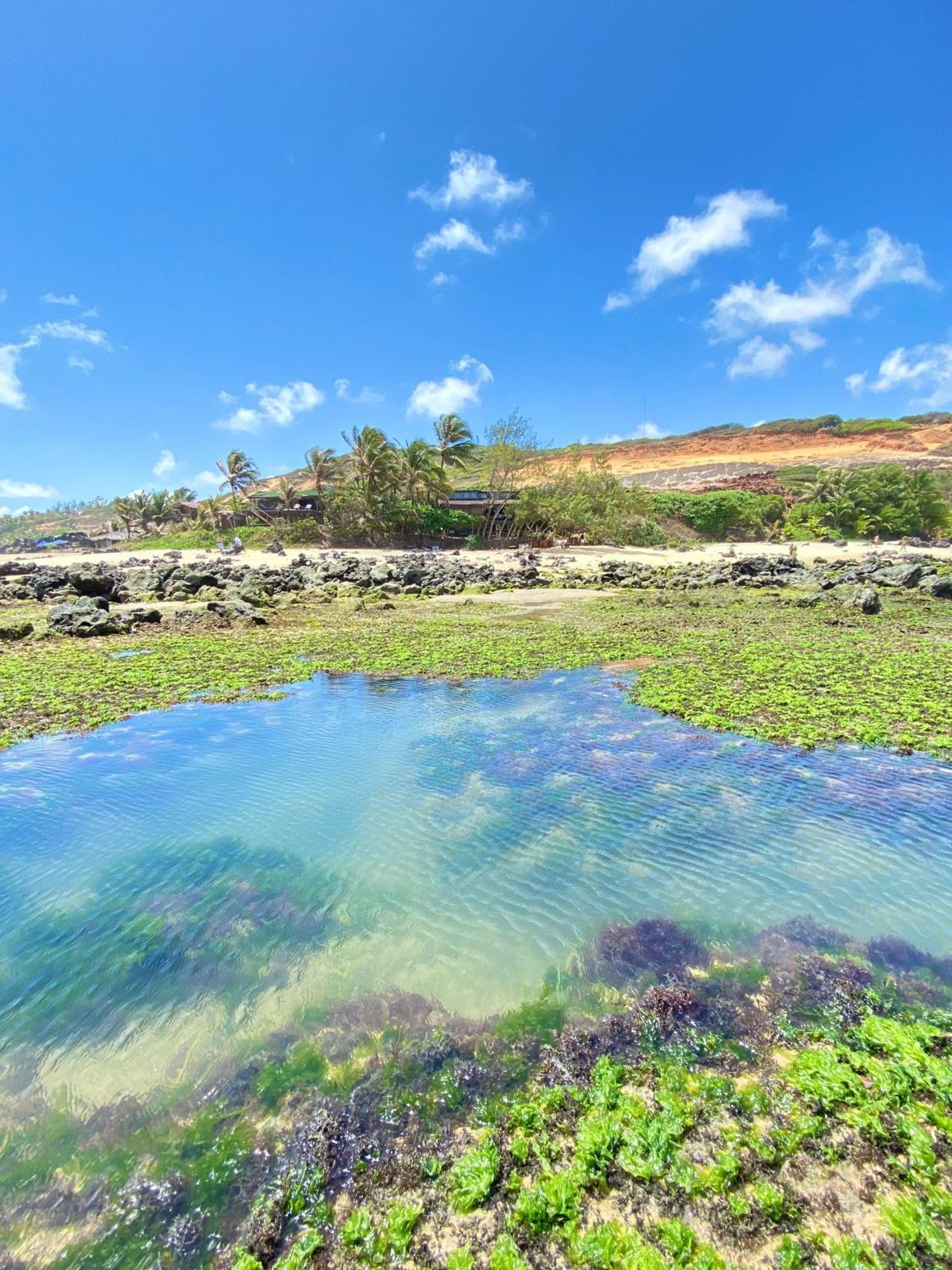 Pousada Paraiso Das Tartarugas Praia de Pipa Exterior foto